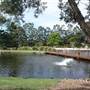 Gold Coast Regional Botanic Gardens - Rosser Park
