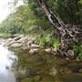 Silky Oaks Lodge - Mossman