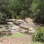 Springbrook National Park