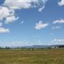 Rosevale - Picturesque Countryside