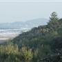 Sunshine Beach