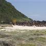 Tallebudgera Beach