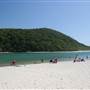 Tallebudgera Creek