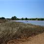 Tully River