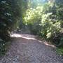 Whitsunday Great Walk