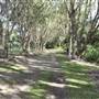 Coochiemudlo Island