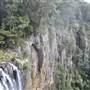 Purling Brook Falls - Springbrook National Park