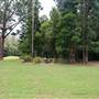 Kholo Botanic Gardens