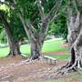 Queens Park, Upper Area