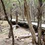 Purga Nature Reserve