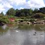 Japanese Garden - University of Southern Queensland