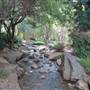 Japanese Garden - University of Southern Queensland