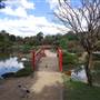 Japanese Garden - University of Southern Queensland