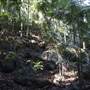 Tamborine National Park