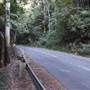 Tamborine National Park