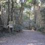 Winding Scenic Mountain Road - National Park