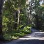 Winding Scenic Mountain Road - National Park