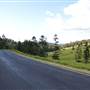Winding Scenic Mountain Road - National Park