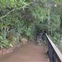 Moran Falls