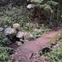 Moran Falls