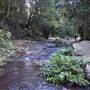 Moran Falls