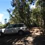 O'Reillys Rainforest Retreat
