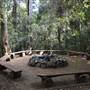 O'Reillys Rainforest Retreat