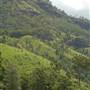 Lost World Valley