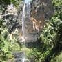 Purling Brook Falls - Springbrook National Park