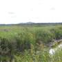 River Road