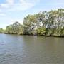 Maroochy River / Old Rail Bridge