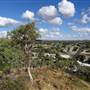 John Campbell Miles Memorial Lookout