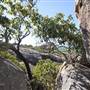 Horseshoe Bay (Bowen)