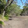 Mangroves meet Ocean - Tallebudgera Creek Conservation Park