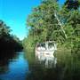 Daintree River