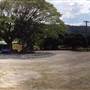 Crossroads Cafe - Daintree