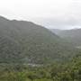 Mamu Tropical Skywalk