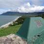 Rex Lookout