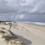 South Stradbroke Island - Beach (South of Surf Club)