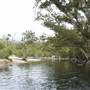 Murray Falls (Girramay National Park)