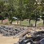 Moffat Beach