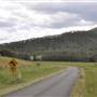 Lost World Valley - Kerry Road