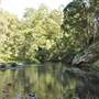 Venus Pools, Stream & Forest