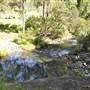 Venus Pools, Stream & Forest