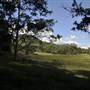Natural Bridge - Springbrook National Park