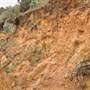 Mulgumpin (Moreton Island) - Harpers Rock at Cape Cliff