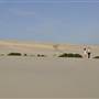 Mulgumpin (Moreton Island) - Little Sand Hills