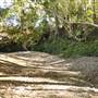 The Backlot, Bonogin - Dry River Bed