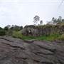 Anstead Bushland Reserve