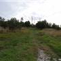 Bushland / Nature Reserve